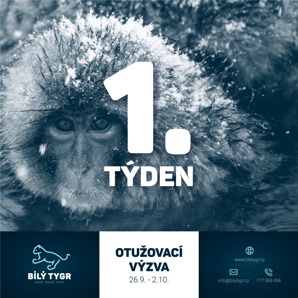 Otužovací výzva – 1. týden