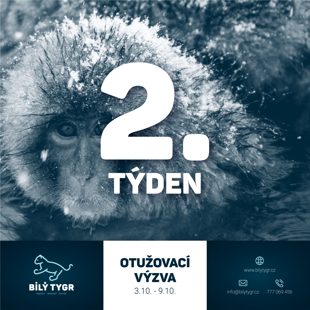 Otužovací výzva – 2. týden