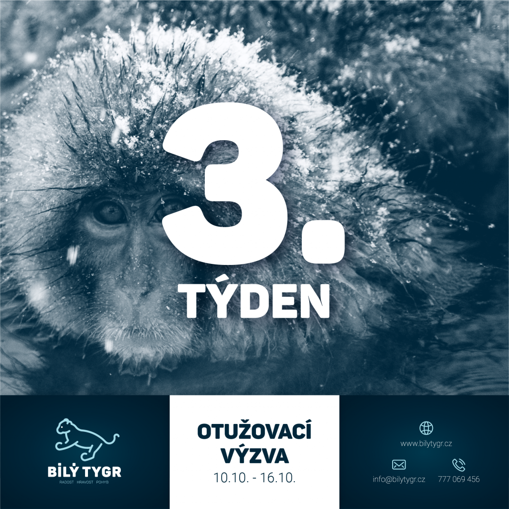 Otužovací výzva – 3. týden