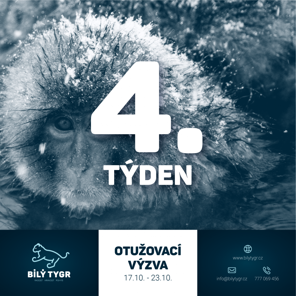 Otužovací výzva – 4. týden