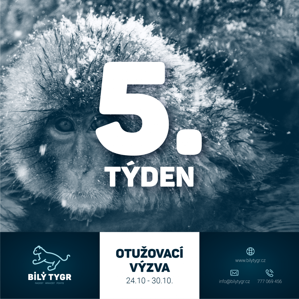 Otužovací výzva – 5. týden