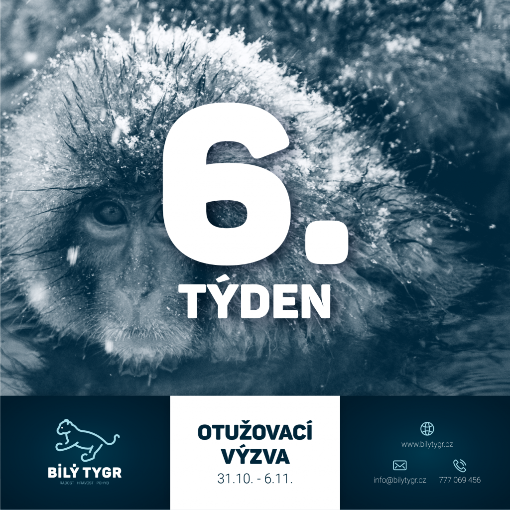 Otužovací výzva – 6. týden