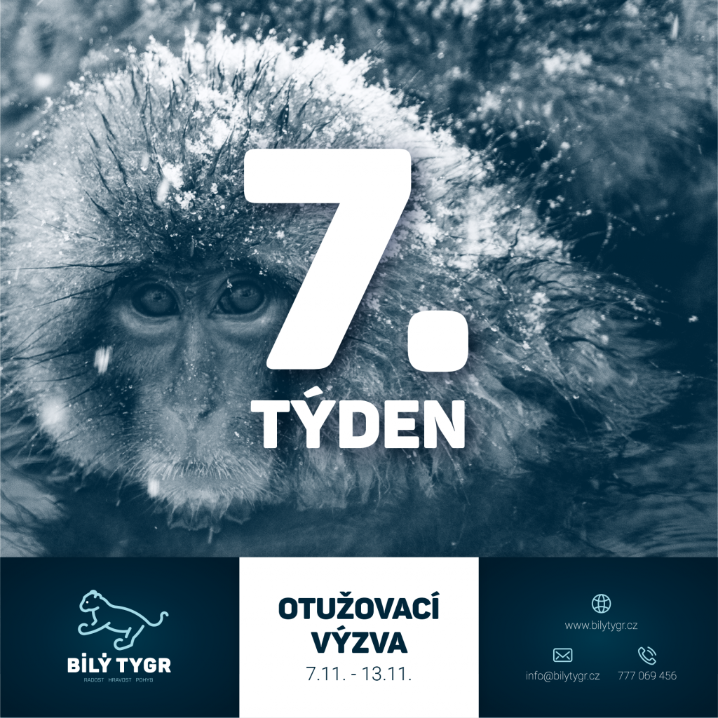 Otužovací výzva – 7. týden