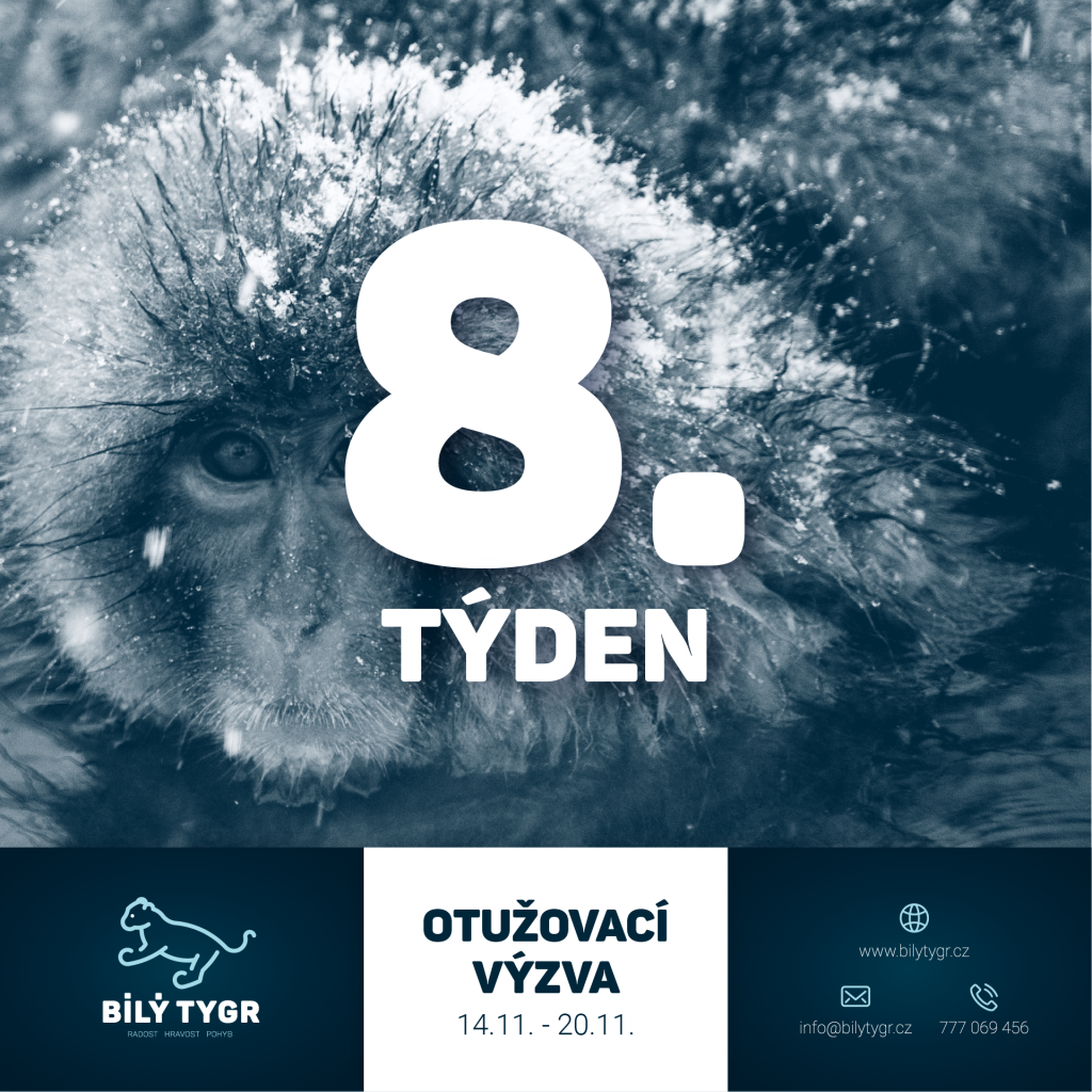 Otužovací výzva – 8. týden