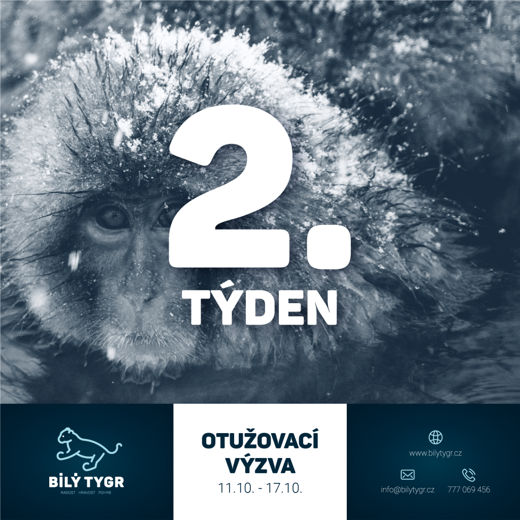 Otužovací výzva 2021 – 2. týden