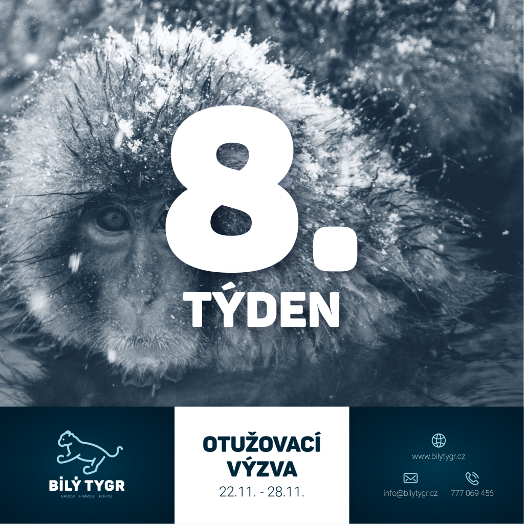 Otužovací výzva 2021 – 8. týden