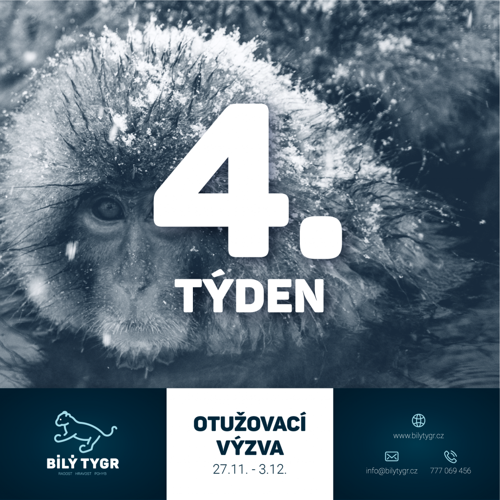 Otužovací výzva 2023 – 4. týden