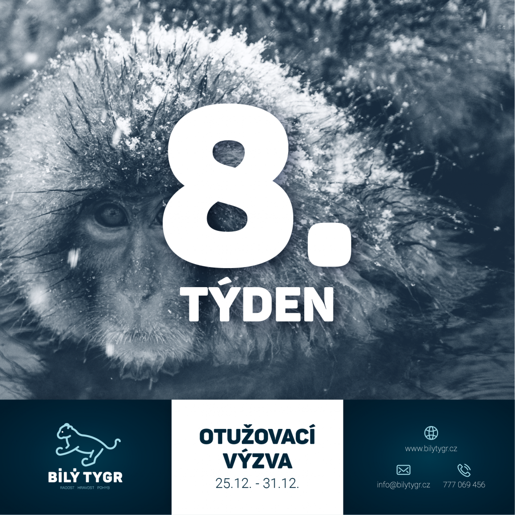 Otužovací výzva 2023 – 8. týden